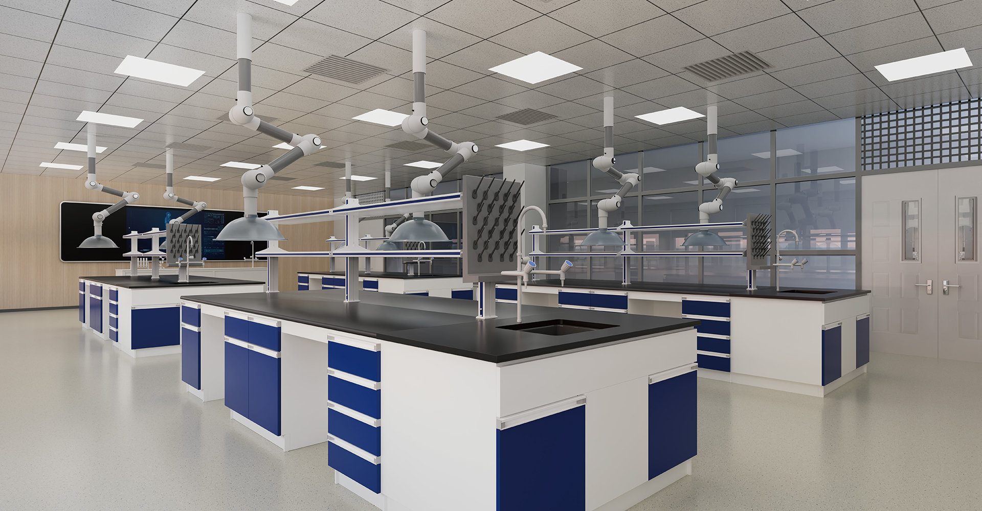 a high-end laboratory  to the region,  as a platform to attract top-tier talent.
